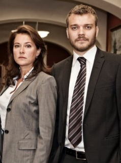 Borgen, une femme au pouvoir streaming