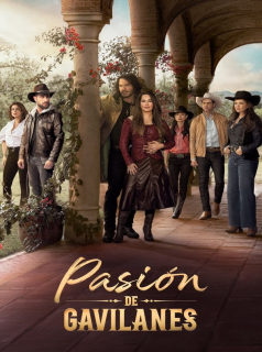 Pasión de Gavilanes streaming