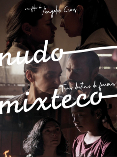 Nudo mixteco : trois destins des femmes