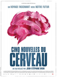 Cinq nouvelles du cerveau