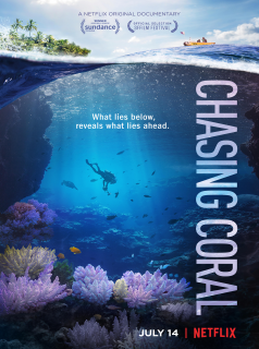 Chasing Coral