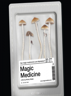 Magic Medicine : Les champignons contre la dépression